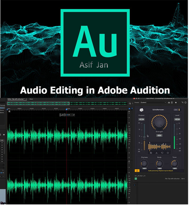 Audio Editing Work